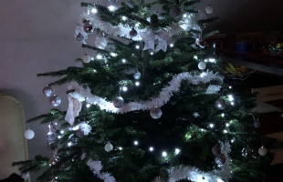 Vajna Nikolett karácsonyfája