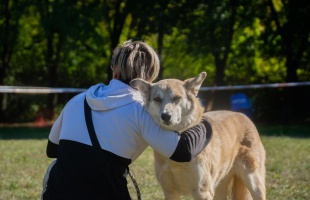 Ilyen volt a X. Szuper-EB fesztivál – galéria
