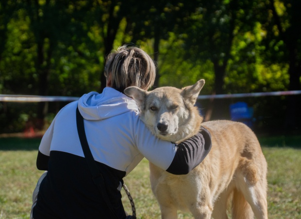 Ilyen volt a X. Szuper-EB fesztivál – galéria