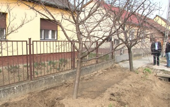 Járdát építenének, de egy idős asszony nem engedi