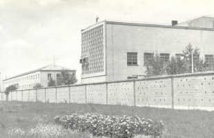 Fonoda születik