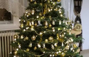 Ildi karácsonyfája