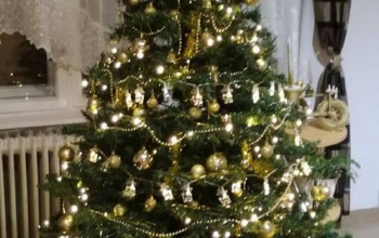 Ildi karácsonyfája