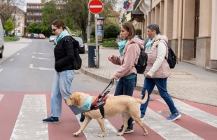 Kaposvár együtt segíti a látássérülteket és a vakvezető kutyák munkáját
