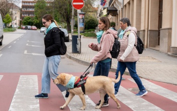 Kaposvár együtt segíti a látássérülteket és a vakvezető kutyák munkáját