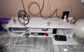 Módszeresen fosztogatták a családi házat