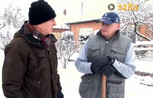 Polgármesteri terepszemle