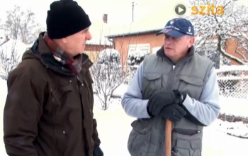 Polgármesteri terepszemle