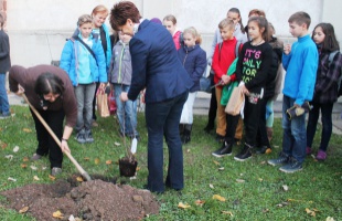 Kétéltűek, halak és hüllők