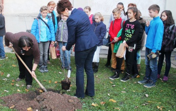 Kétéltűek, halak és hüllők