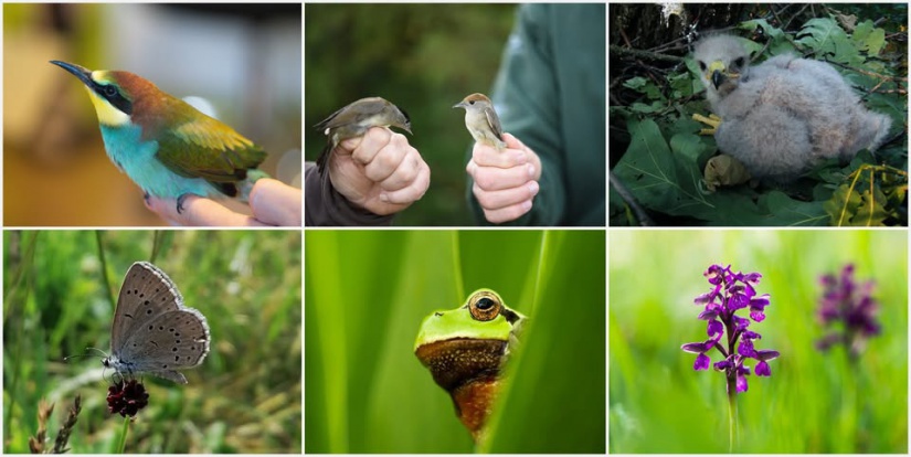 Fotó: MME Kaposvári Helyi Csoport