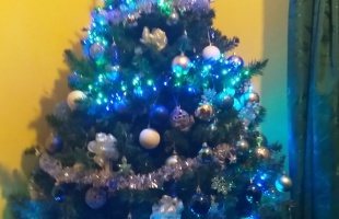 Ster család karácsonyfája