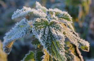 Hideg idővel kezdődik a december