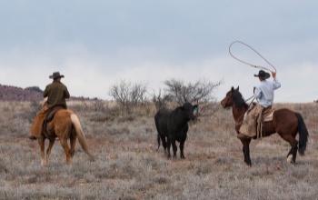 A cowboyokról lesz szó az MCC következő kaposvári előadásán