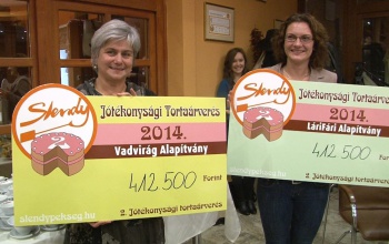 Jótékonysági tortaárverés az alapítványoknak
