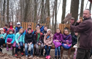 Kalandos program a Kalanderdőben