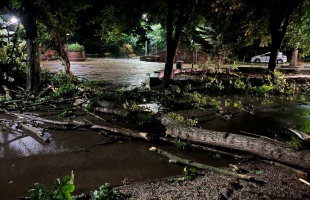 Főként műszaki mentésekhez riasztották a somogyi tűzoltókat