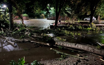 Főként műszaki mentésekhez riasztották a somogyi tűzoltókat