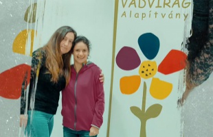 Ingyenes workshopot szervez a Vadvirág Alapítvány