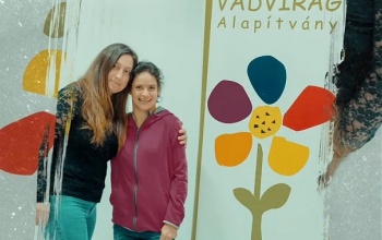 Ingyenes workshopot szervez a Vadvirág Alapítvány