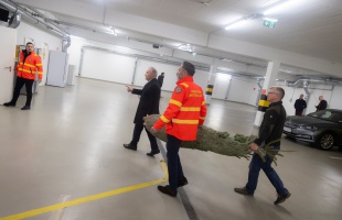 Idén is érkeznek a fenyőfák az ország összes mentőállomására