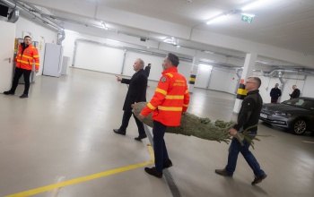 Idén is érkeznek a fenyőfák az ország összes mentőállomására