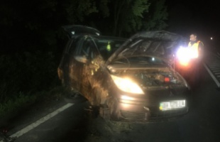 Hetvenkettő segélyhívás érkezett a somogyi tűzoltókhoz a hétvégén