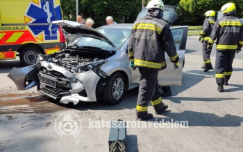 Állatokat is mentettek a somogyi tűzoltók az elmúlt hétvégén