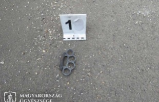 Boxerrel verekedett apa és fia