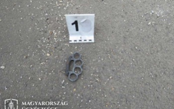 Boxerrel verekedett apa és fia