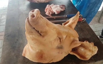 Ellopták és levágták a szomszéd három disznóját