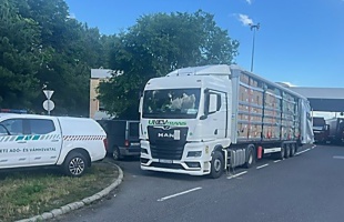 Hamis játékkonzolokkal bukott le a férfi