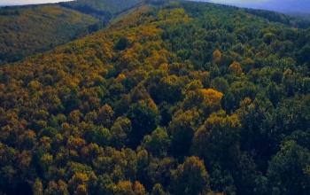 Lélegzetelállító videó az őszi somogyi tájakról