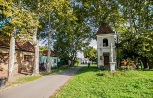 Sztálin és Vorosilov jegyében (Kaposvár 1950-ben)