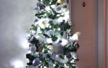 ifj. Leuschnerék karácsonyfája