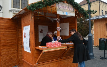 Ajándék kuckó a kaposvári Kossuth téren