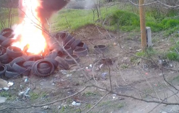 Vadkamera buktatta le a kaposvári gumiégetőt - VIDEÓ