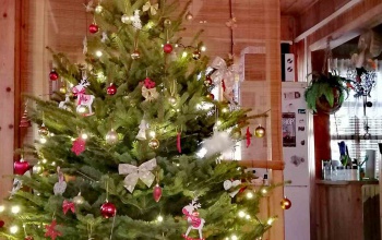 Kozár család karácsonyfája