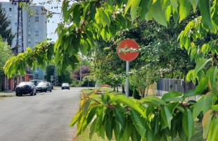 A behajtani tilos tábla, amit sokan nem vesznek figyelembe