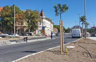 Háromszáz fát és több ezer cserjét ültetnek az új pályaudvar környékén - fotók