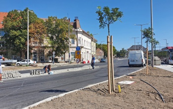 Háromszáz fát és több ezer cserjét ültetnek az új pályaudvar környékén - fotók