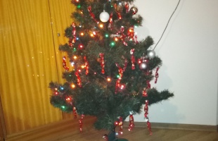 Ramyék karácsonyfája