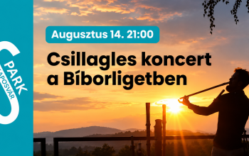 Ezt a péntek estét ne otthon töltsd: különleges, meditatív koncert vár a Bíborligetben