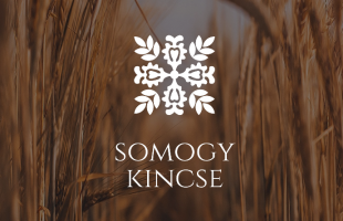 Balatoni ízek Budapesten is – különleges rendszerrel működik a Kincses Somogy Termelői Piac