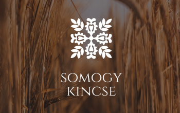 Balatoni ízek Budapesten is – különleges rendszerrel működik a Kincses Somogy Termelői Piac