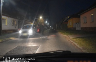 Előbb a macskát, majd gazdáját is elütötték Kaposváron