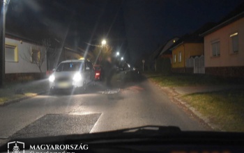 Előbb a macskát, majd gazdáját is elütötték Kaposváron
