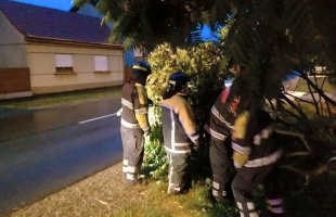 Fákat döntött, ágakat szakított le a szélvihar Somogyban