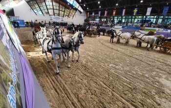 Október elején rendezik meg a Kaposvári Állattenyésztési Napokat