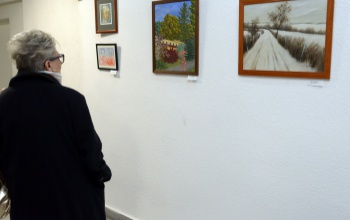 Újabb kiállítás nyílt a Kormányhivatal Galériában